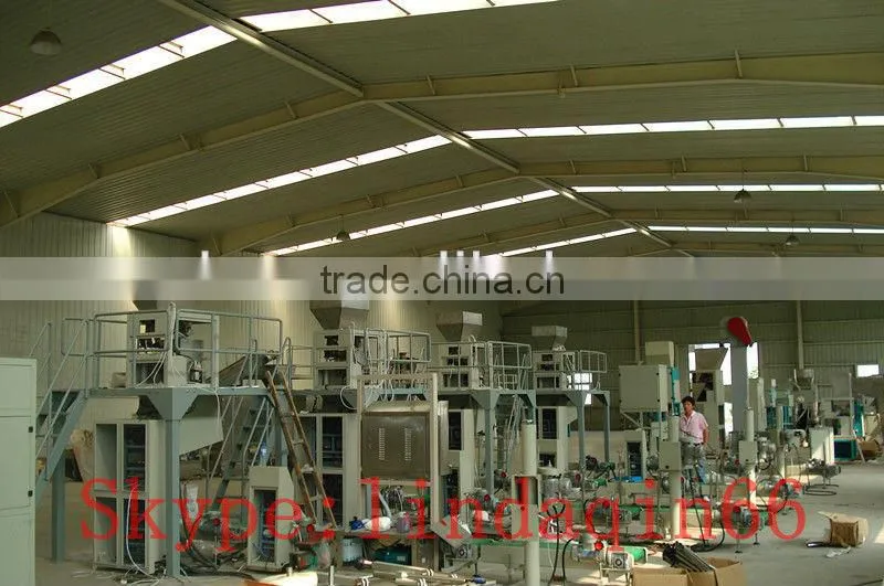Fully Automatic multihead weigher packing machine
