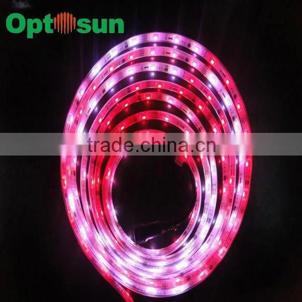 2012 hot fashionable battery operated waterproof mini led lights