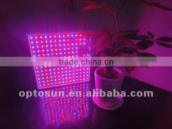 SMD 5050 led plant grow light strip