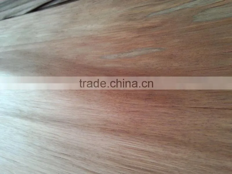 204 new 1220*2440mm keruing bintangor veneer