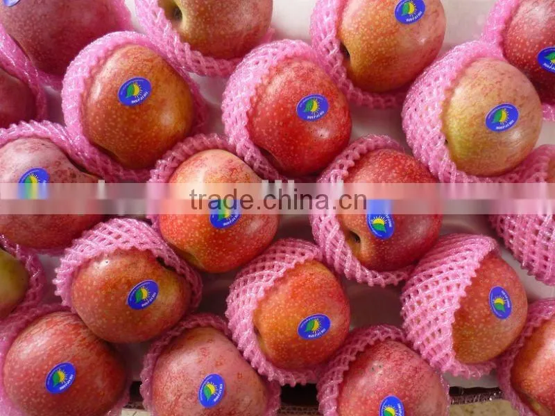qinguan apple