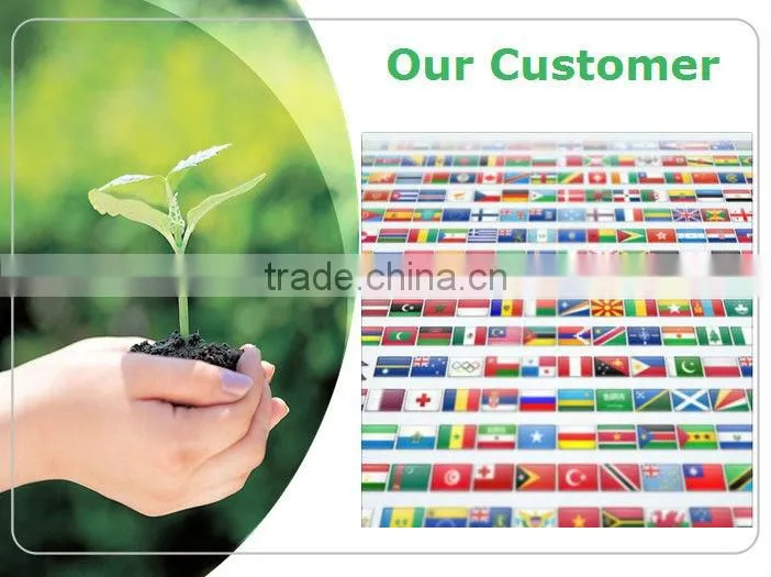 Epimedium powder icariin 50% 60% 80% 98% epimedium extract