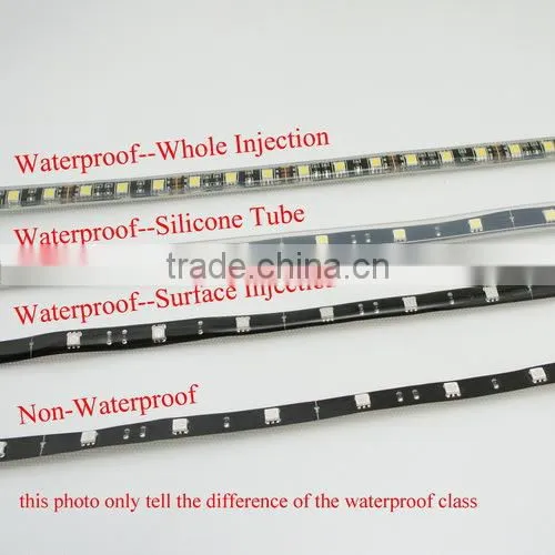 DC12V 30/60PCS Per Meter 5050SMD led strip light