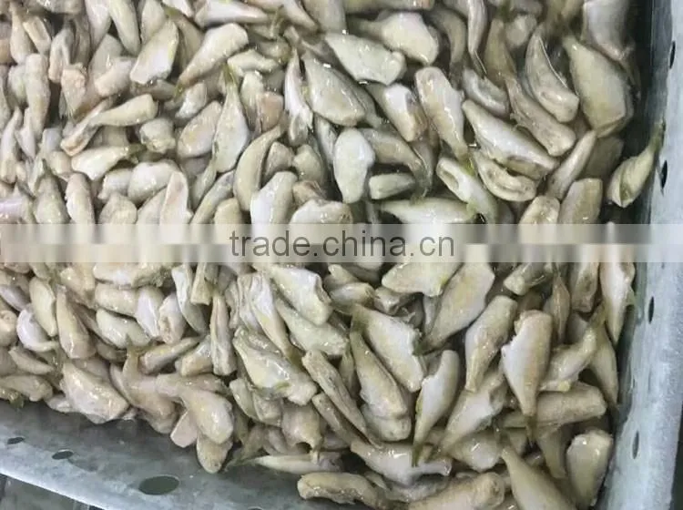 filefish good packing frozen leather jacket fillet fish