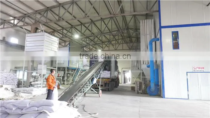 Good manufacture of chickpea hot sale