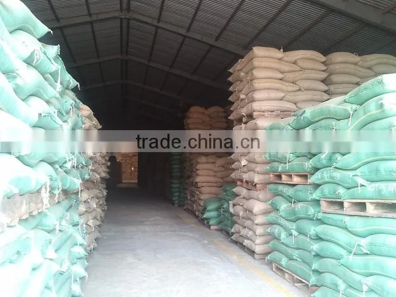 Manufacturer of Vietnam Wet Polished Robusta Green Coffee Beans Screen 18