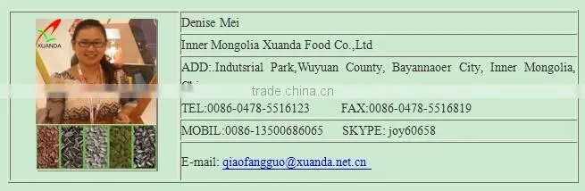 hot sale high quality black & red watermelon seed from china