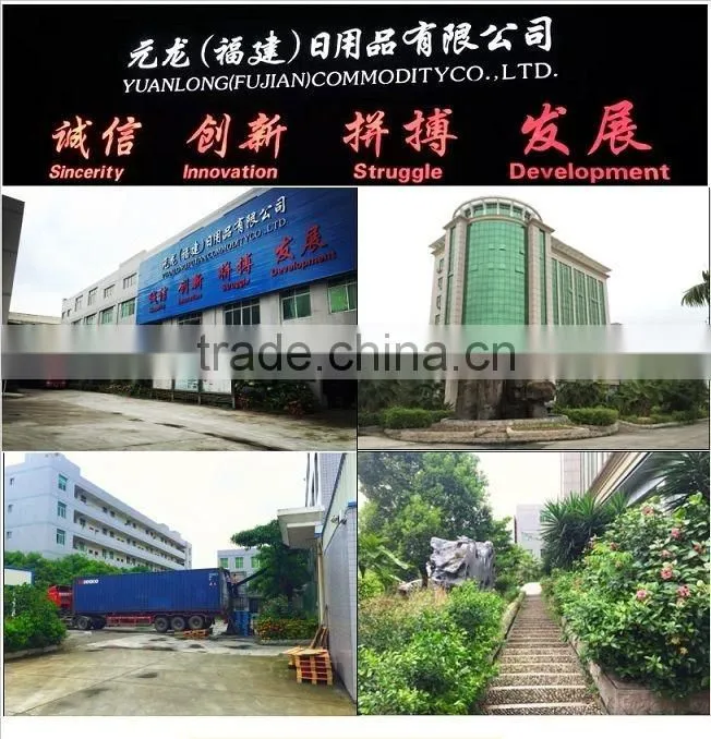BNC brand insect killer,aerosol insecticide, spray pesticide
