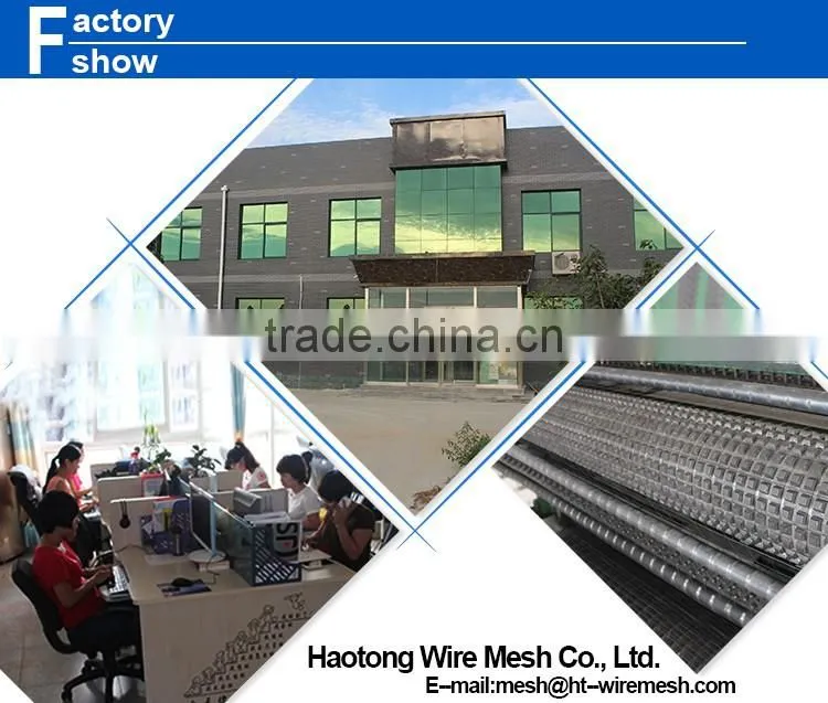 Alibaba factory price 1/4 inch galvanized welded wire mesh
