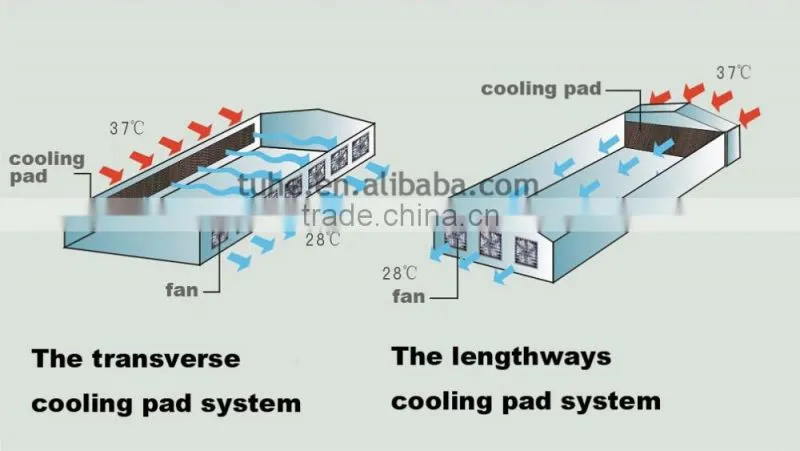 Poultry cooling cell pad 220V for greenhouse industry Indonesdia