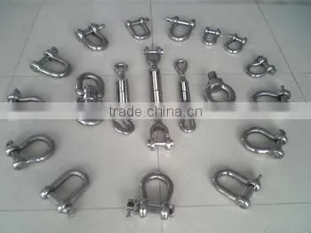 Stainless Steel Screw Pin D Shackles