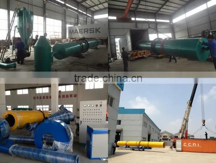 Professional manufacturer rice paddy dryer/seed grain dryer