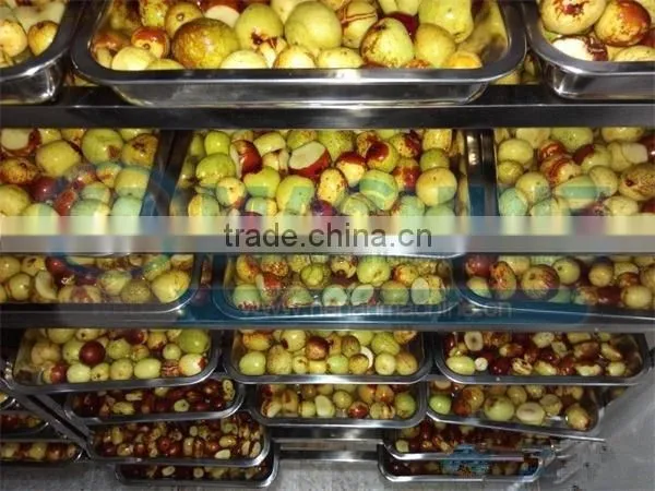 2016 Professional Fruit Drying Equipment