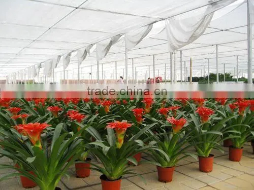 Winter garden flower greenhouse tunnel film