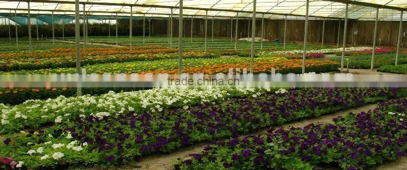 Polycarbonate LED Panel (LiteGuide TRIMDEK)