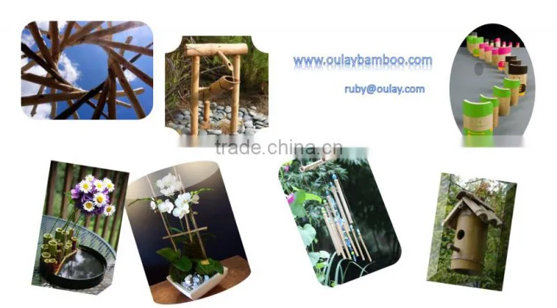 Agriculture Bamboo Canes