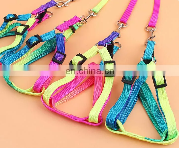 dog collar
