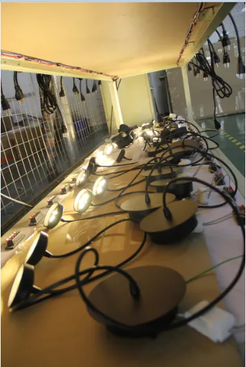 Zhongshan Grade Lighting Co.,ltd. company overview - view 3