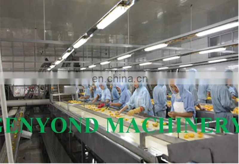 Canned Fruit Cocktail Processing Production Line