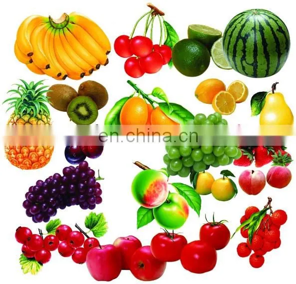 Mini fruit juice making machine
