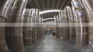 Lianyungang King Garden Paper Product Co., Ltd. company overview - view 2