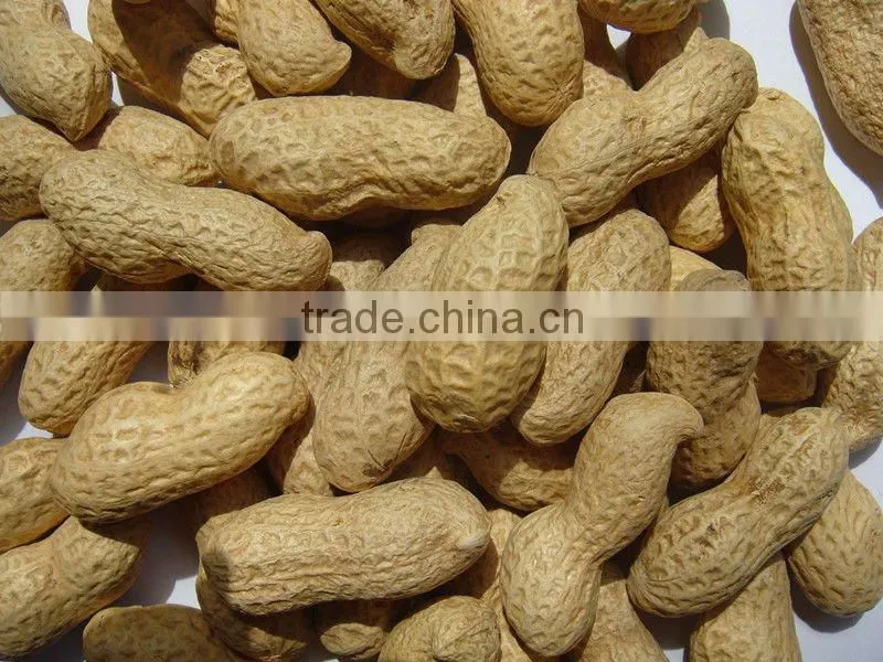 Chinese raw peanut in shell