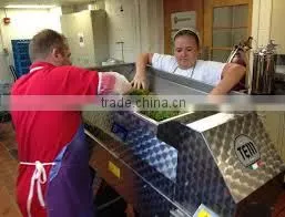 Hot sell grape crusher and smasher machine