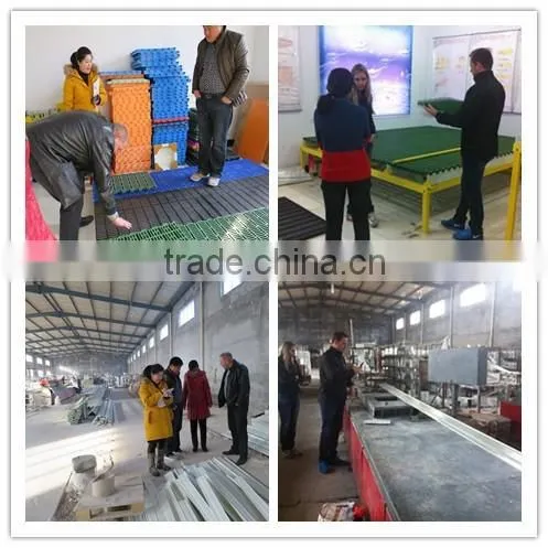 Duck/chicken/pig/poultry farming equipment;fiberglass pultruded beam, fiberglass support beamfor pig/sheep/goat slat floor