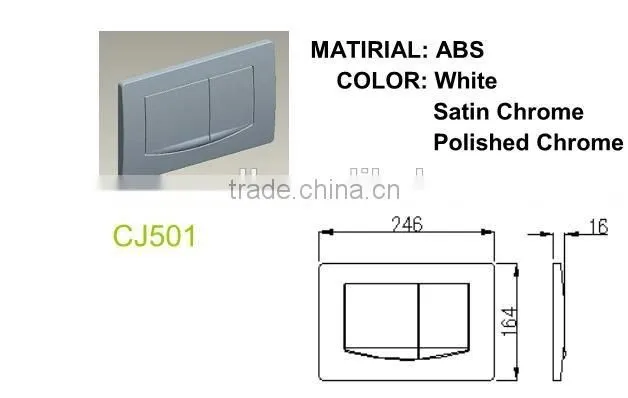 Bathroom ABS Dual Flush Control Plate for Concealed Cistern Made in China