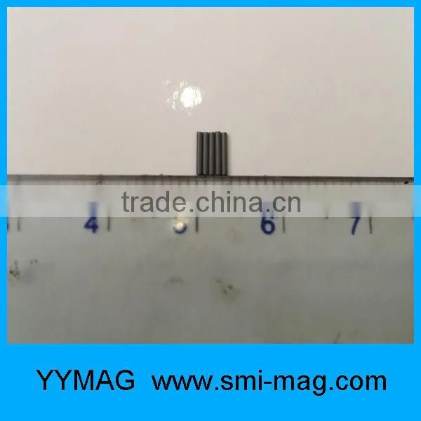High quality micro magnet precision magnet tiny magnet