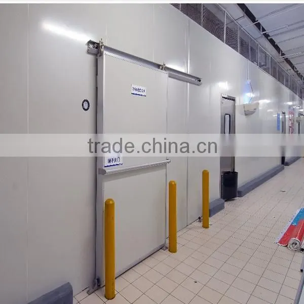 B.R.D most popular PUR/PIR Energy saving pu cold room panels