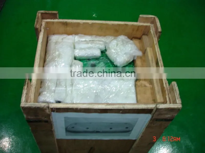 China high precision plastic gnome mold making