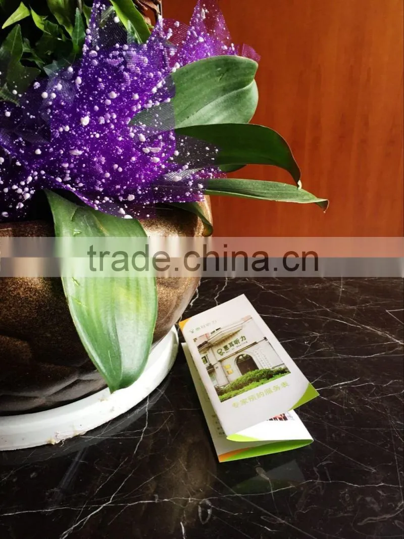 Foldable Coloring print Flyer/Leaflet/poster/map/calendar/portfolio/booklet/menu