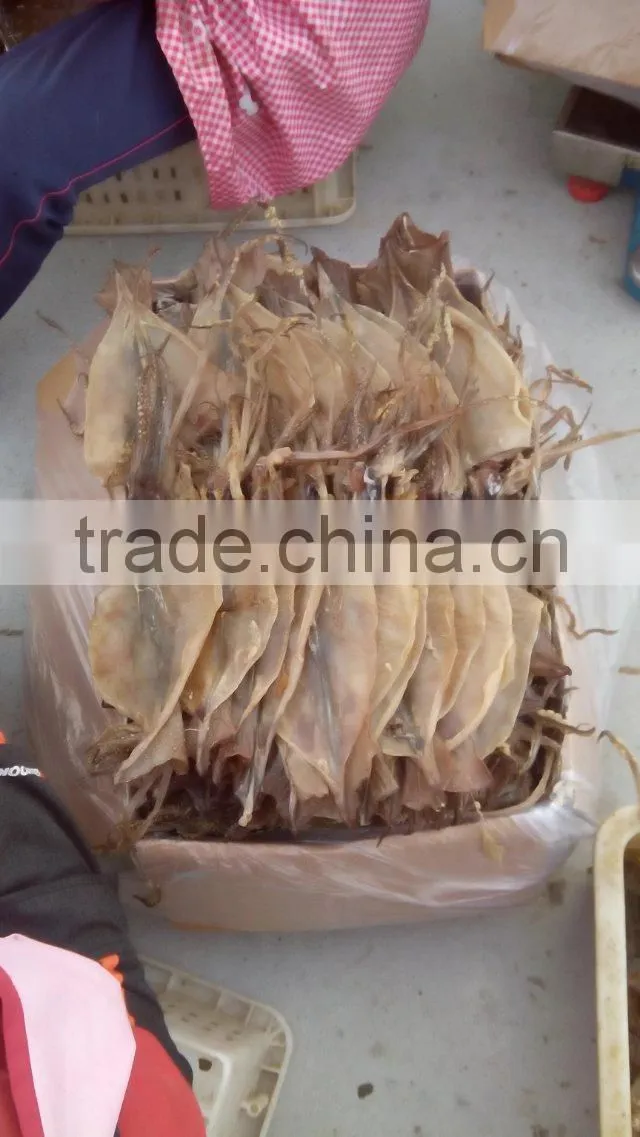dried squids