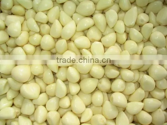 Manufacturer Of Garlic Peeler Machine