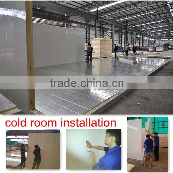 double temperatures cold and freezer room for vegetable &meat