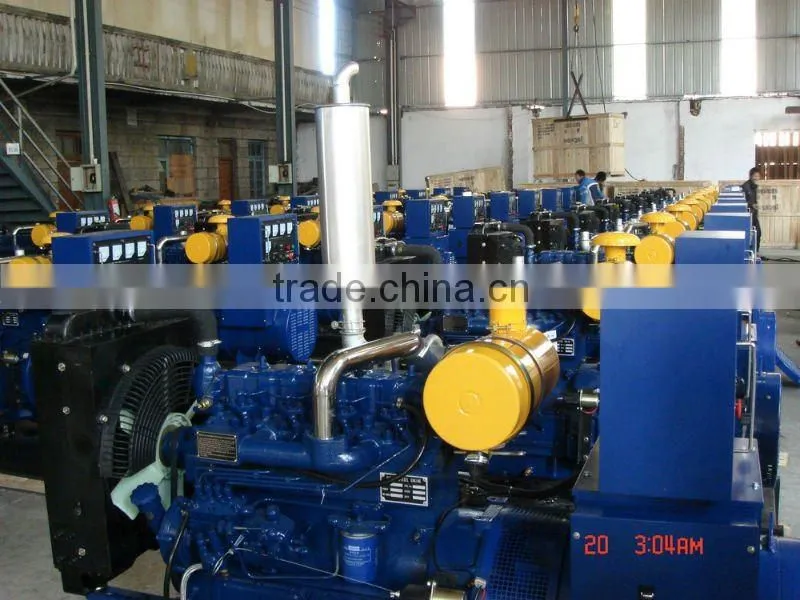 CHINESE BRAND KANGBAI WEIFANG GENERATOR