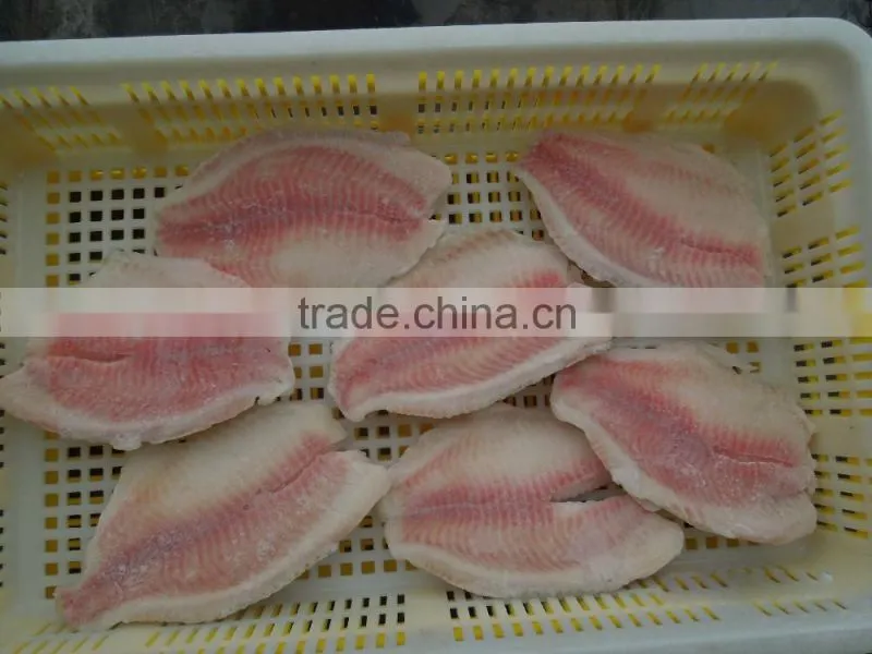 IQF Frozen Tilapia Fillet For Sale