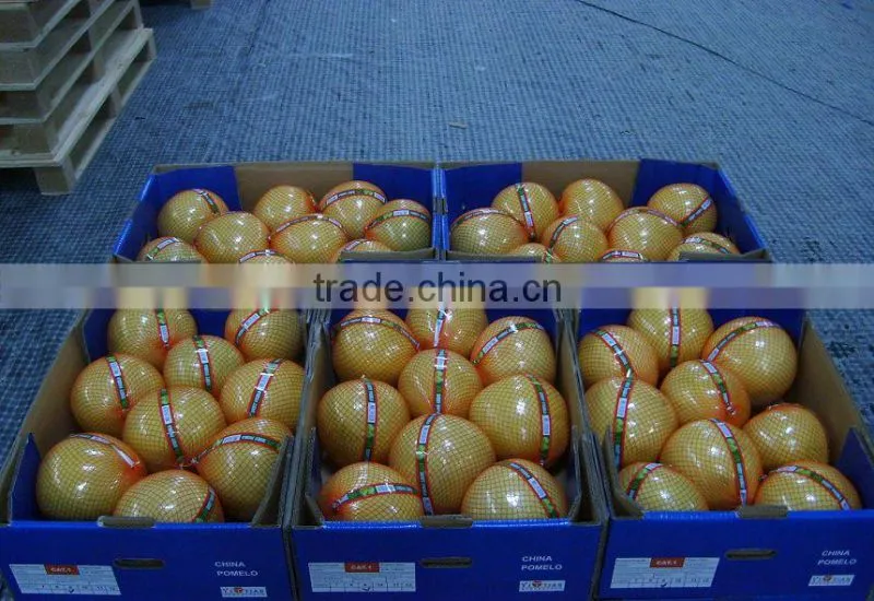 Customers buy sour fresh honey pomelo from China