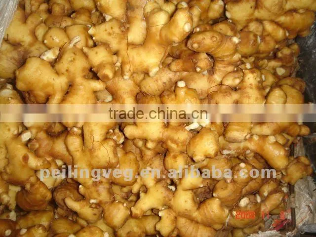2012 CHINESE FRESH GINGER