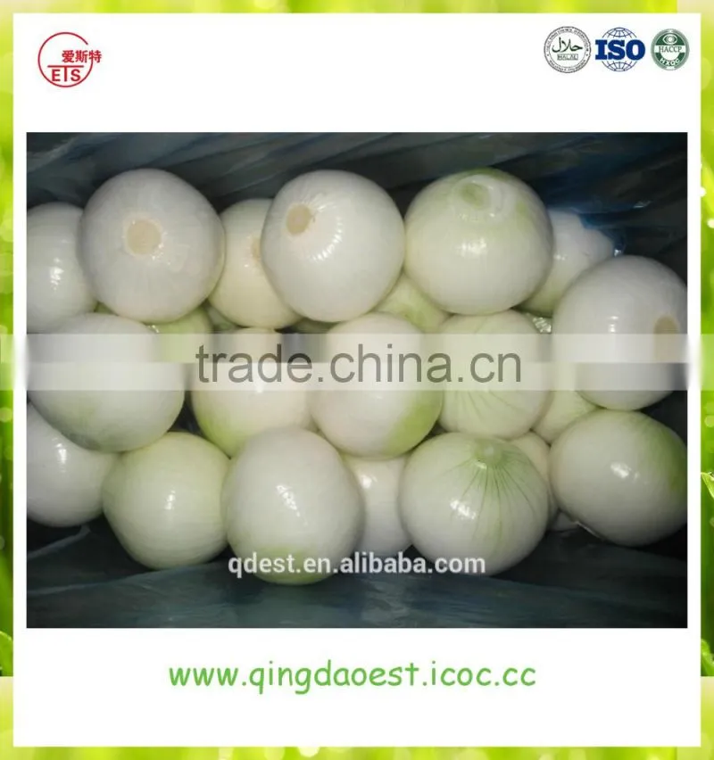 Best quality fresh onion from china