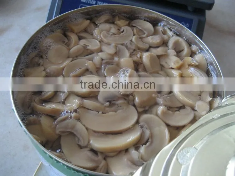 New Crop Canned Water Chestnuts Slice