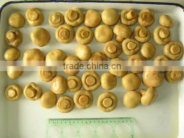 Canned Mushrooms Pieces&Stems