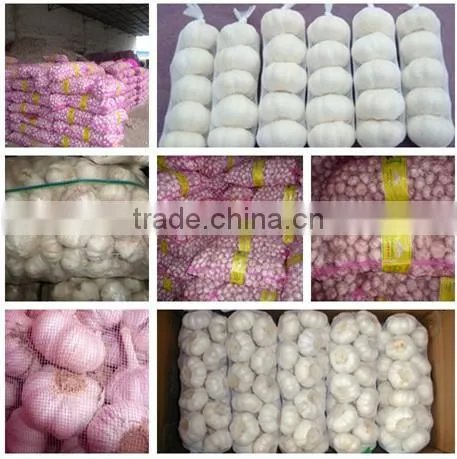 Grade A 2015 new crop nuisanceless dried pure white garlic