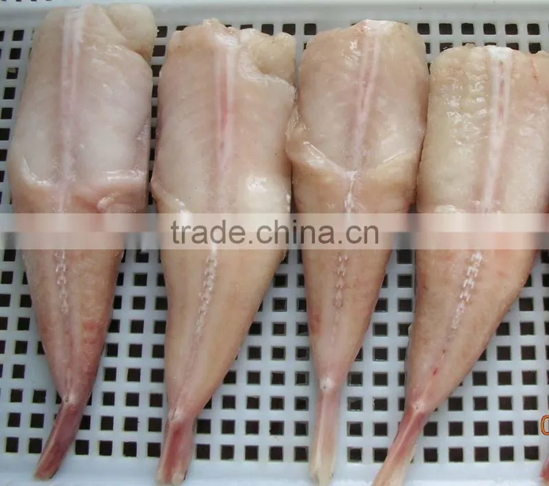 automatic fish cleaning machine/ fish cleaning machine
