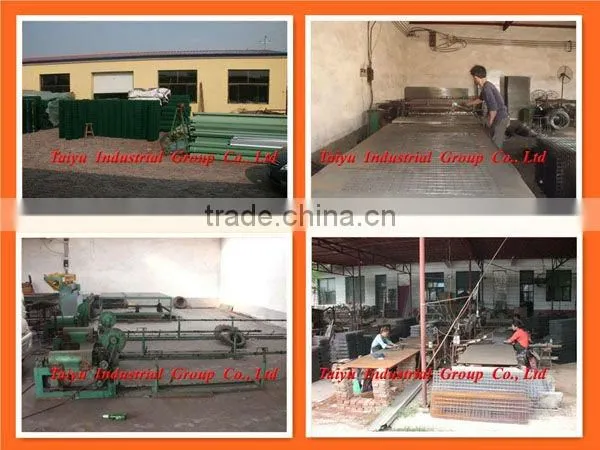 Export standard chicken poultry layer cage