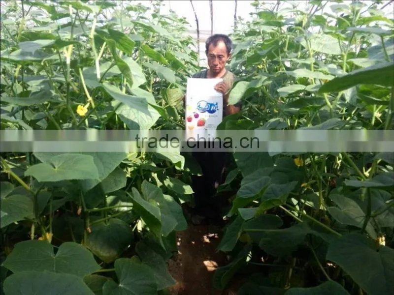 Liquid Fertilizer With Bacteria
