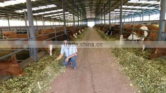 Cattle Feeding Wheat Straw Crusher Corn Straw Crushing Machine Chaff Cutter