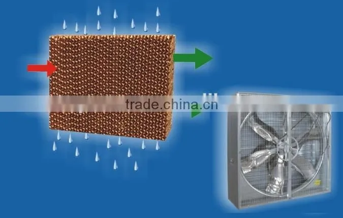 Greenhouse water pad and exhaust fans