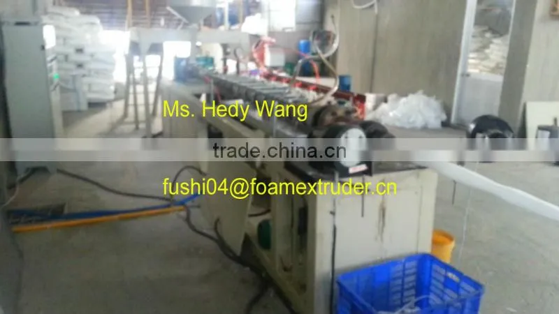 CE & ISO9001 Apple/Guava/Melon/Mango Foam Net Machine